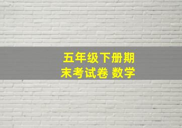 五年级下册期末考试卷 数学